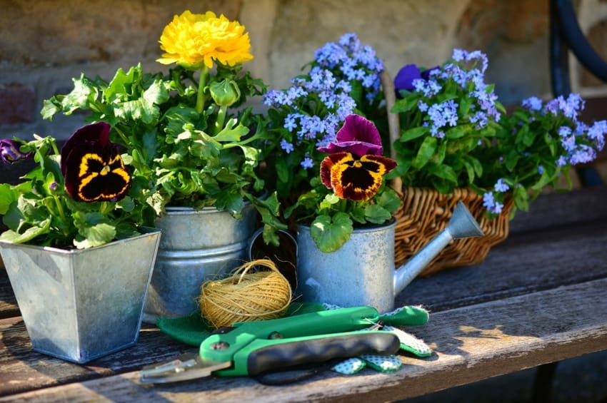 giardinaggio come iniziare