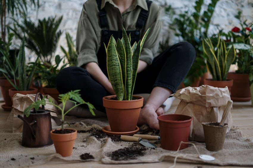 fare giardinaggio consigli